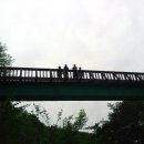 로맨스 다육 이미지