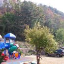 숲속나라 어린이집 이미지