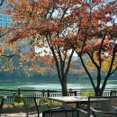 삼성산소(주) | 강북삼성병원 김서연 교수님 초산 유도 분만 성공 출산 후기