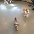 빈스 앤 멍 이미지