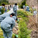 김진만농장 이미지