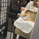 라온동물의료센터 이미지