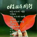 영일만 행정사 이미지