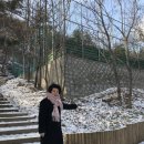 천마 공영주차장 이미지