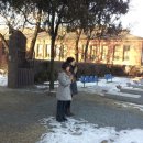 마리스텔라 이미지