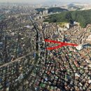 은행나무로 이미지