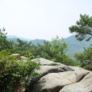 장군봉 등산로 화장실 이미지