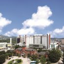 서울대학교 이미지