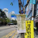 프랭크버거 용인동백백현점 | [24년 4월 용인동백햄버거 맛난 가게/ 프랭크버거 용인동백백현점]