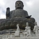 강진-36 이미지