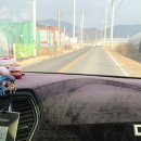 🍓 구평동에서 10분! 칠곡 약목 " 널위한 딸기농장 "직거래 후기 (몬스터 사이즈 실물)