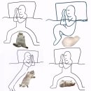 (주)퓨오바이더스 | ボン