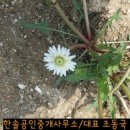 요한농원 이미지