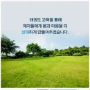 경희대장안태권도 네이버블로그