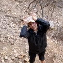 시가자도 이미지