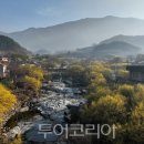 동산항공여행사