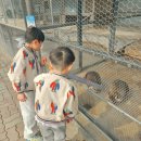 바다아이 | 겨울바다 아이와 함께 강릉여행하기 (쌍둥이 동물농장, 사근진해변, 뮤지엄엑스)