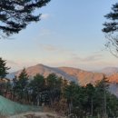 정림정식당 네이버블로그