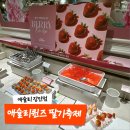 서울장평초등학교 | 2026 애슐리퀸즈 딸기축제 첫날 후기 장안점 주차 정보 내돈내산