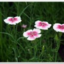 마음의안경 이미지