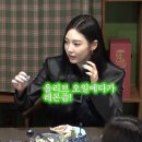 십오야 마이데일리