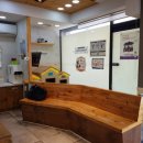 서서울호수동물병원 이미지