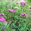 송강농장 이미지