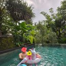 힐링 선 | [4인 가족 발리여행] 발리 우붓, 가족 모두 만족한 숲속 힐링! '더 선 오브 그라나리' 숙소 후기!