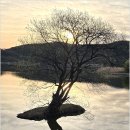 이방초등학교 이미지