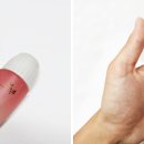 담음의 미학 이미지