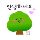 스타힐스세탁 이미지