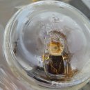 맥도날드DT점 이미지