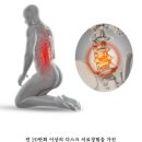 나인핏 피티 이미지