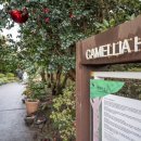 산새세탁 이미지