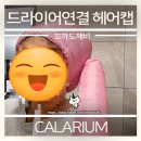 즐거운드라이세상 이미지