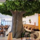 수라갈비찜 이미지