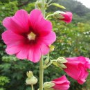 원진개쉼터 이미지