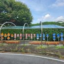 고양시 어린이교통공원 이미지