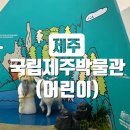 정원똥돼지 | 국립제주박물관 어린이 박물관, 입장료 - 여행 후기