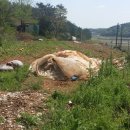 별량부동산공인중개사사무소 이미지