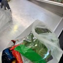 수원-0813 이미지