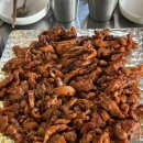 온달집 강남역점 | 🔥 강남역 야장 숯불닭 맛집 추천! 온달집 강남역점 내돈내산 솔직 후기