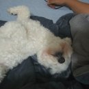 유가사등산로 이미지