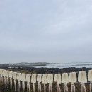 할머니횟집 이미지