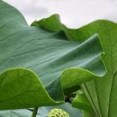 안심창조밸리 천천둘레길 이미지