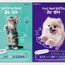 청산동물병원 이미지