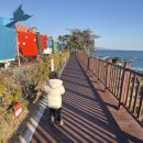 강동오토캠핑장 이미지