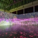 라파우자 이미지