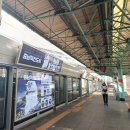 언제나 봄약국 이미지