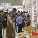 금산인삼 이미지